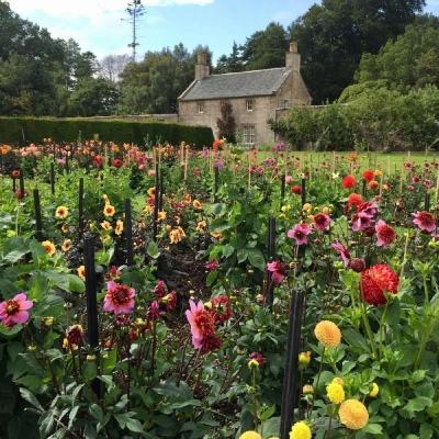 火狐体育下载appapp下载